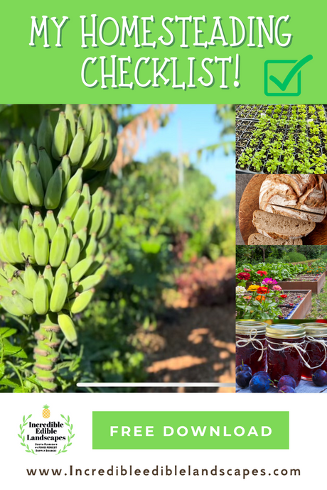 How to Start Homesteading Effectively: Free Printable!