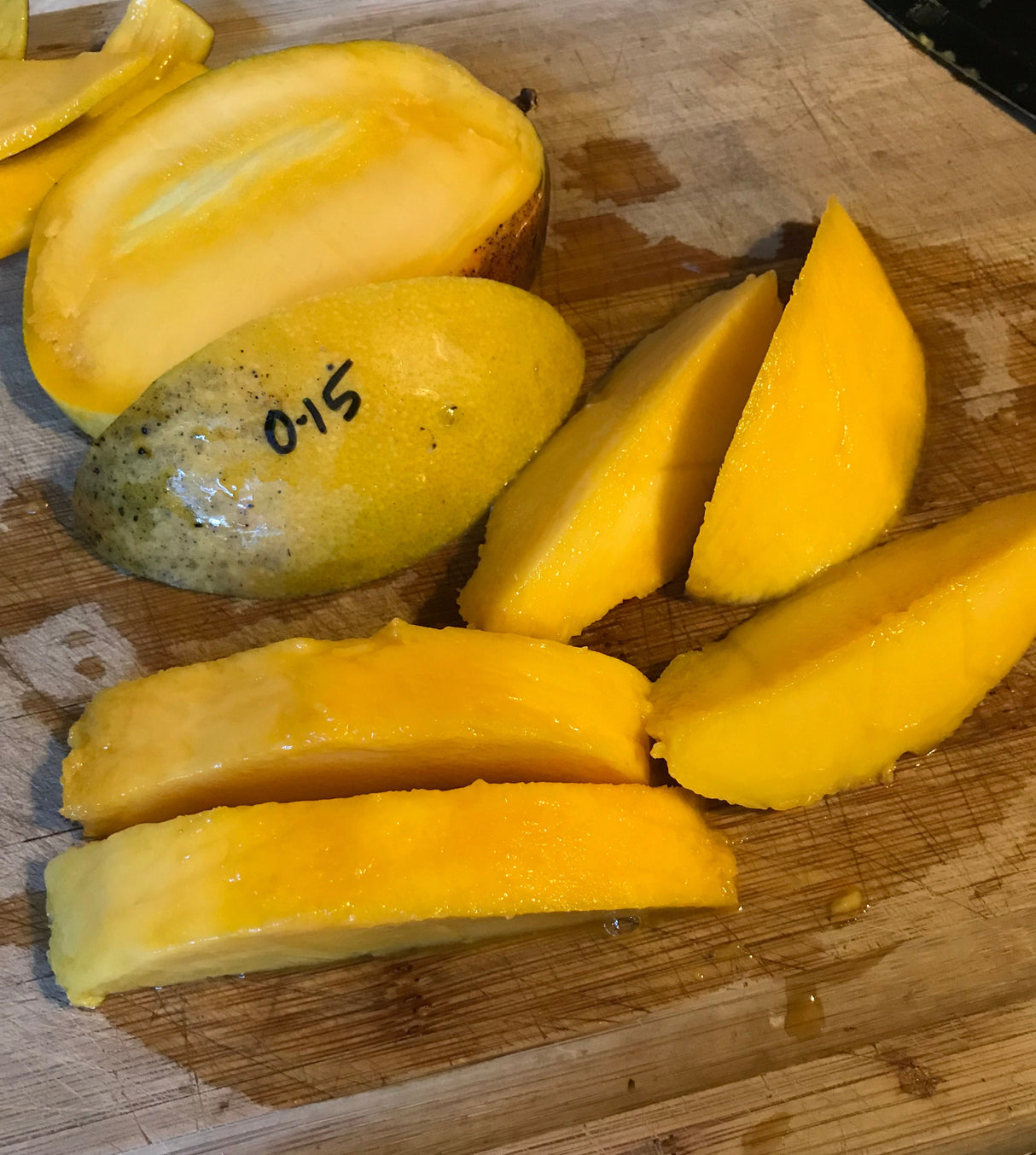 Mango Tree ‘O-15’