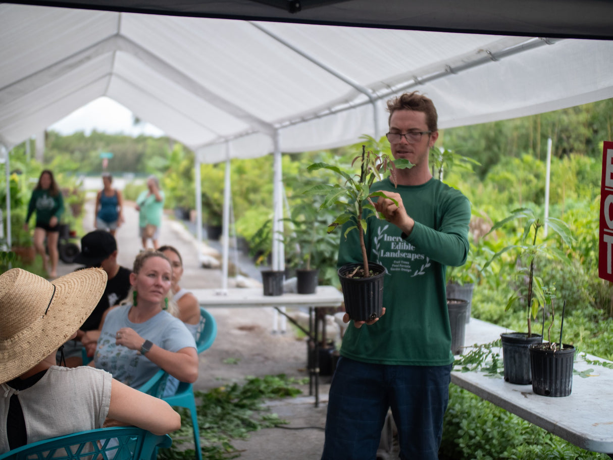 Intermediate Fruit Tree Grafting - Beyond the Basics w/ Sapodillas & More!