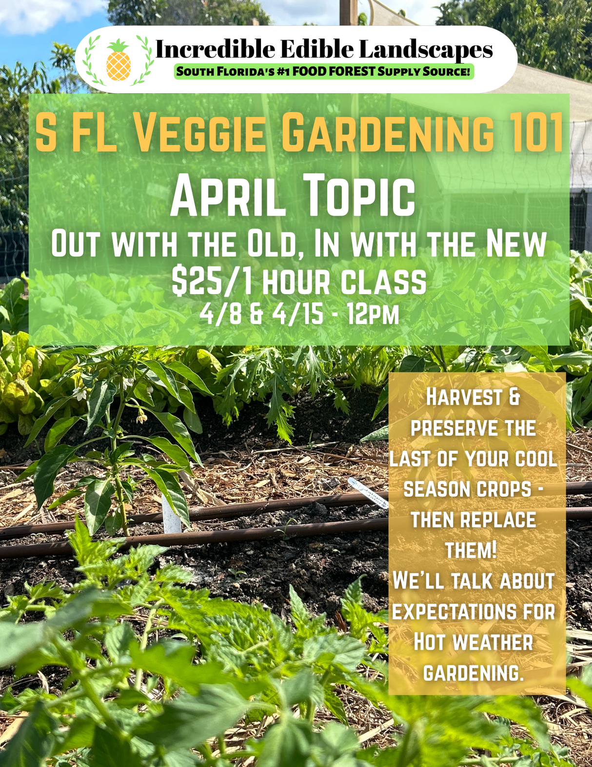 S. FL Veggie Gardening 101 Class - April