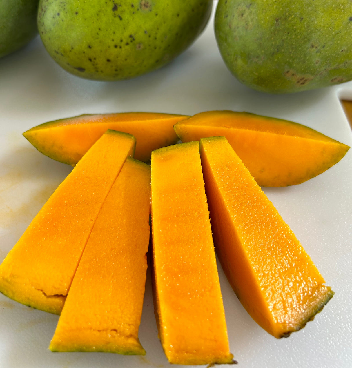 Mango Tree 'Carrie’