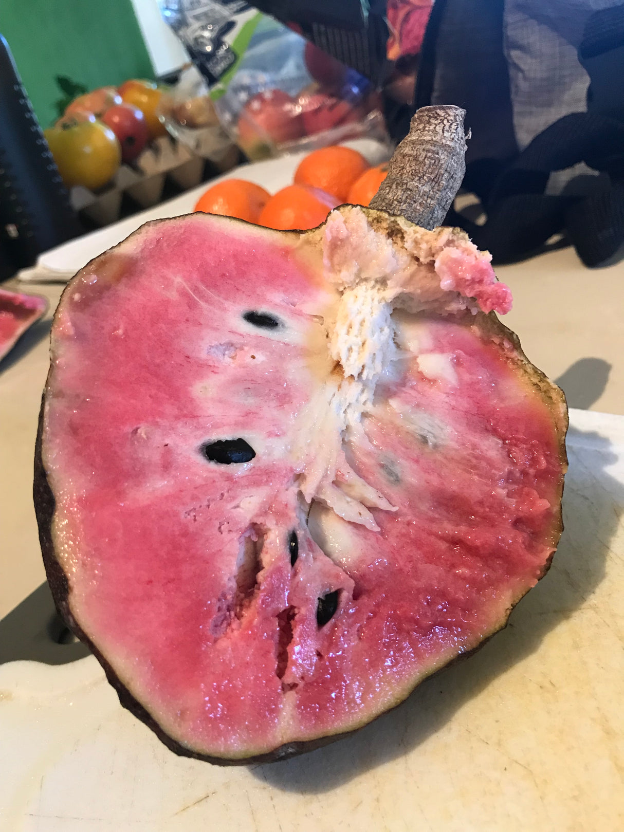 Custard Apple Tree - San Pablo seedling