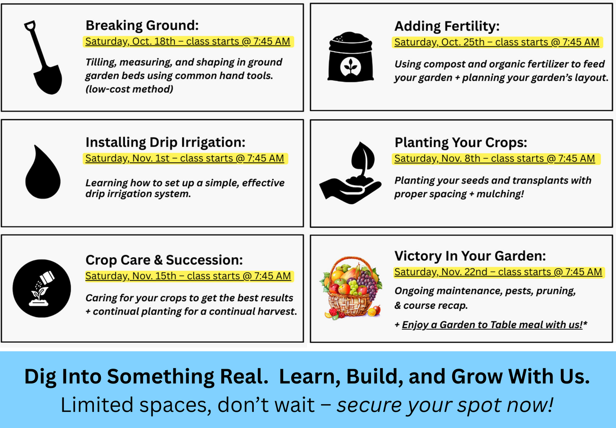 Fall Gardening Crash Course 2025 - SINGLE CLASS