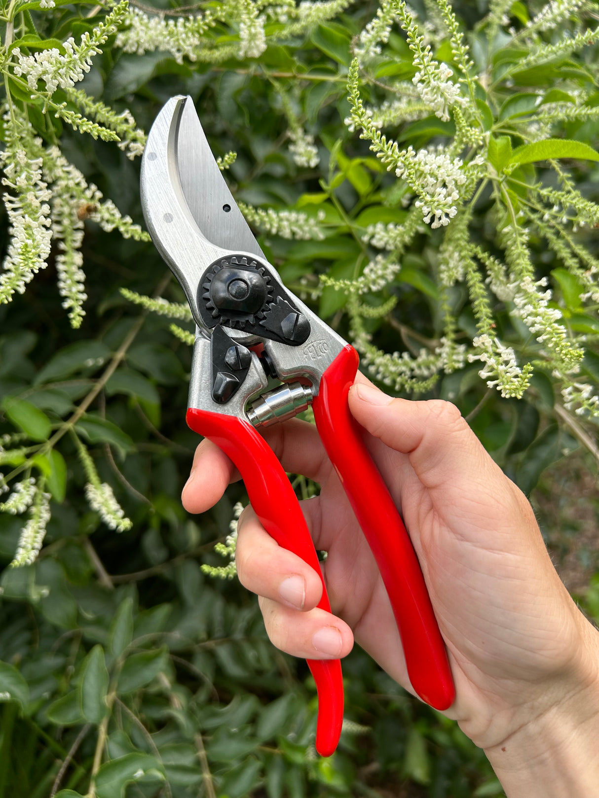 Felco 2 Hand Pruners
