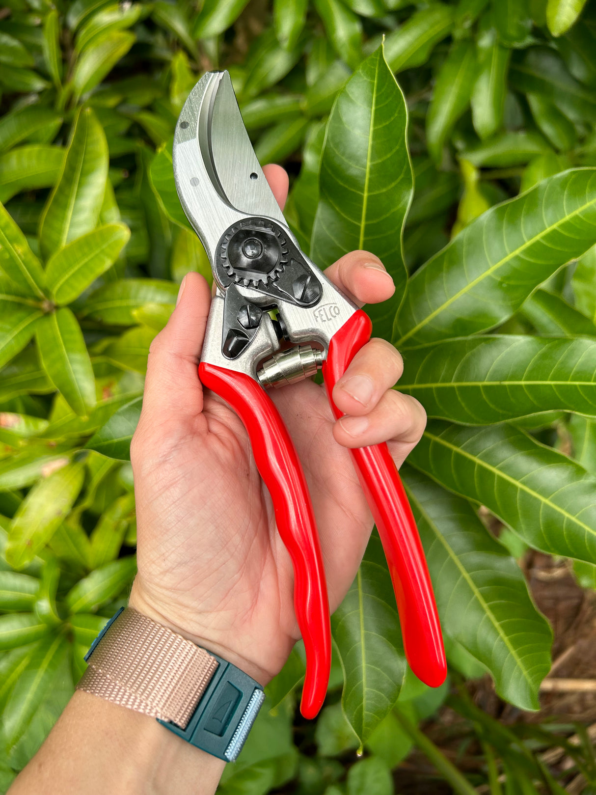Felco 2 Hand Pruners