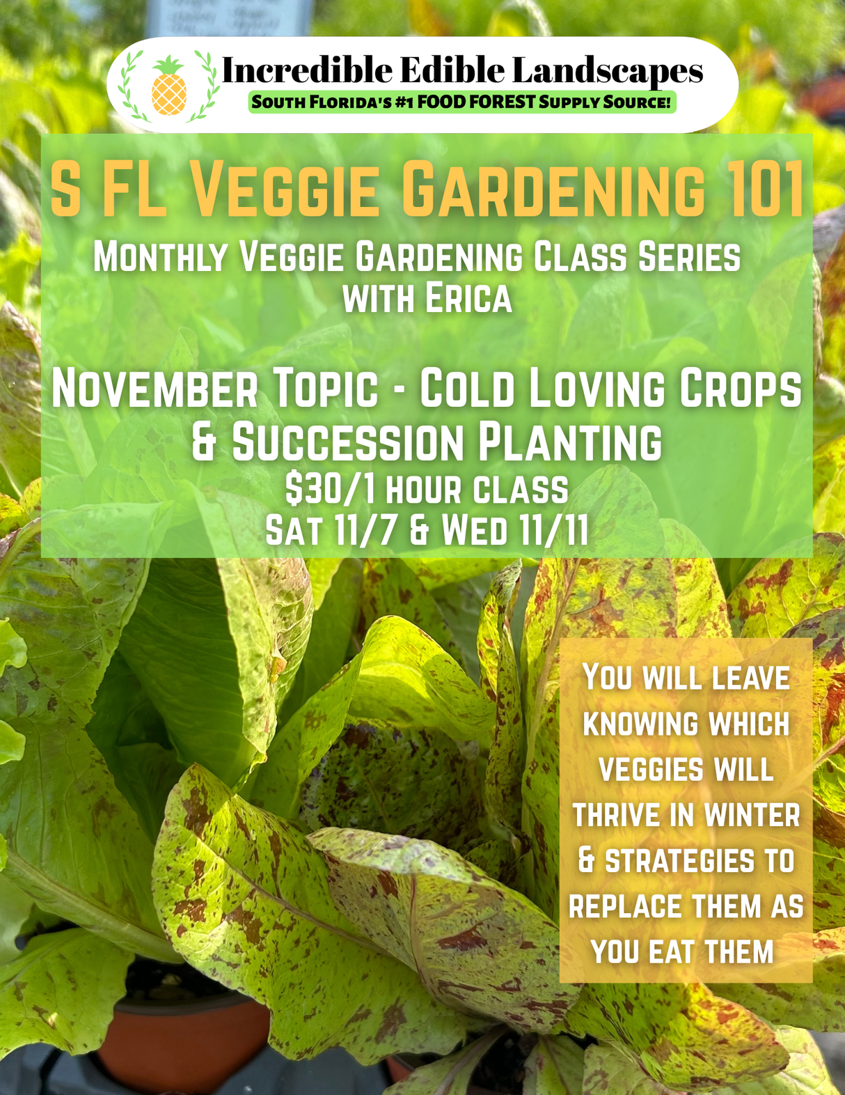 S. FL Veggie Gardening 101 Class - November