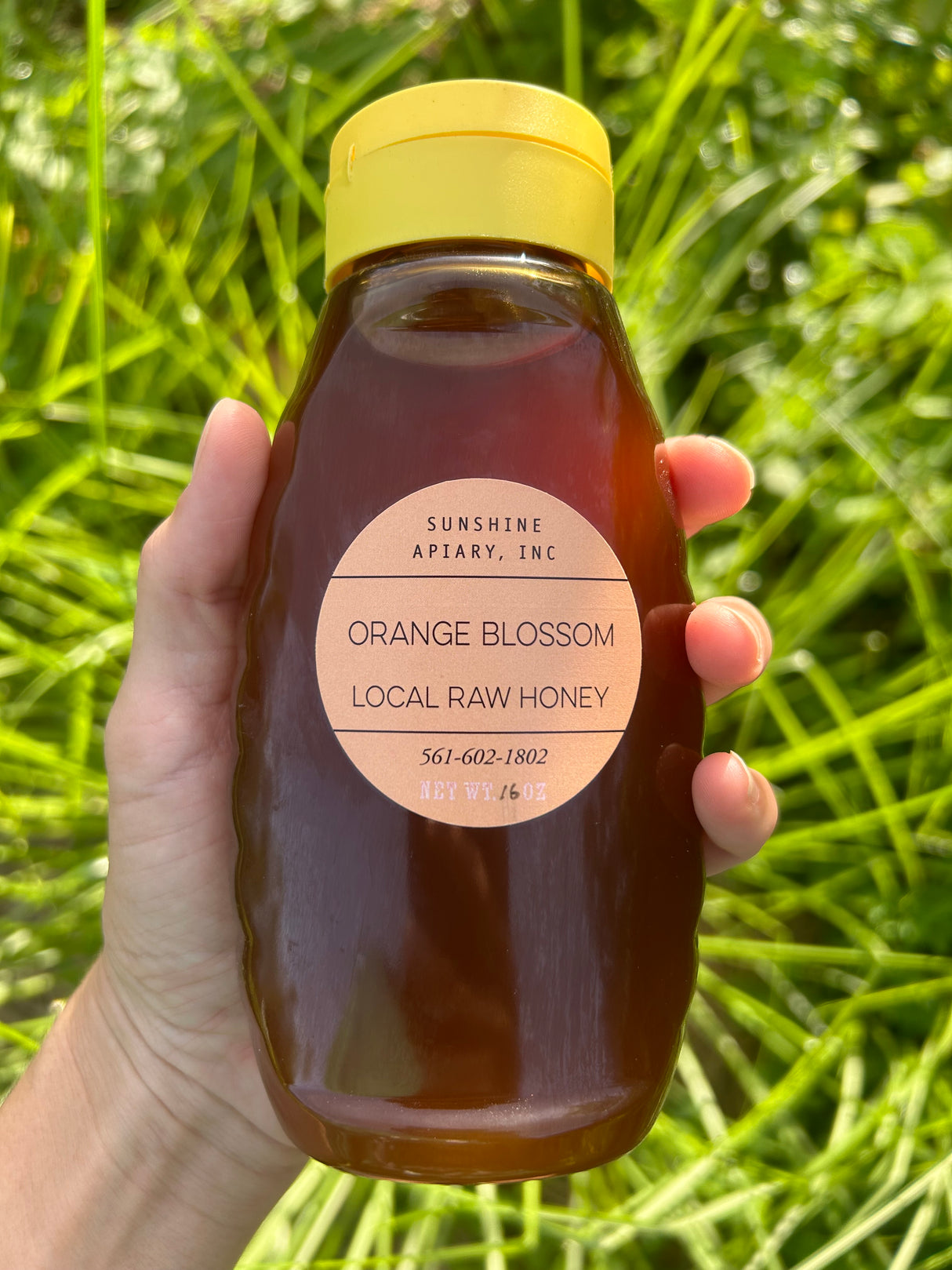 Florida Raw Honey