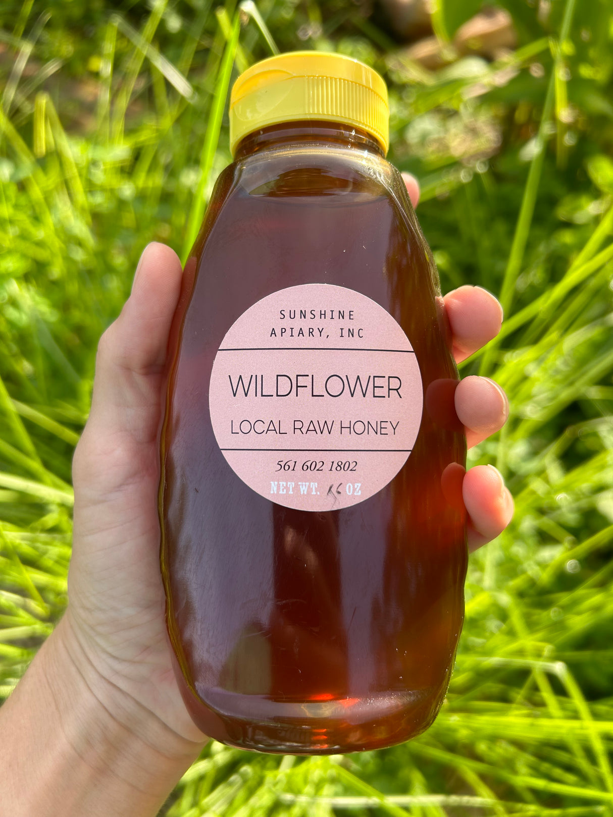 Florida Raw Honey