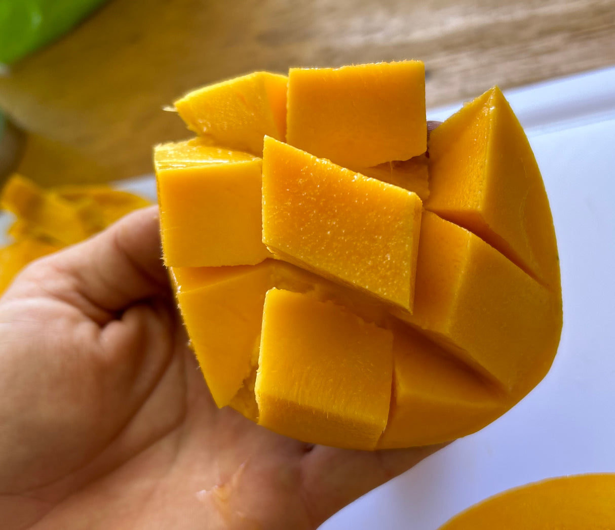 Mango Tree 'Angie'