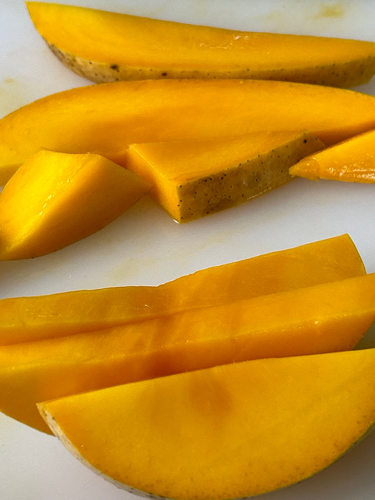 Mango Tree 'Cac’