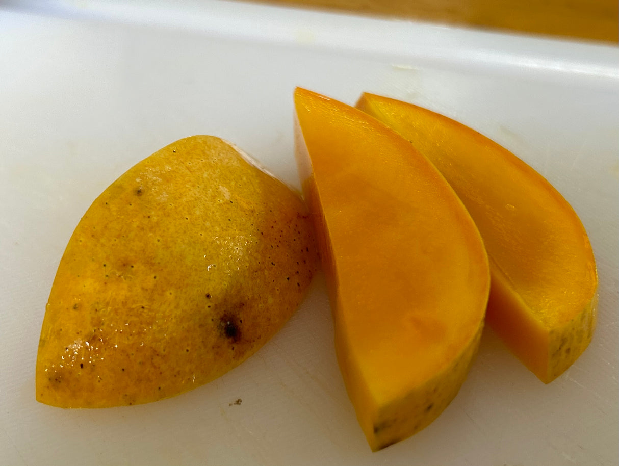 Mango Tree ‘Fairchild’