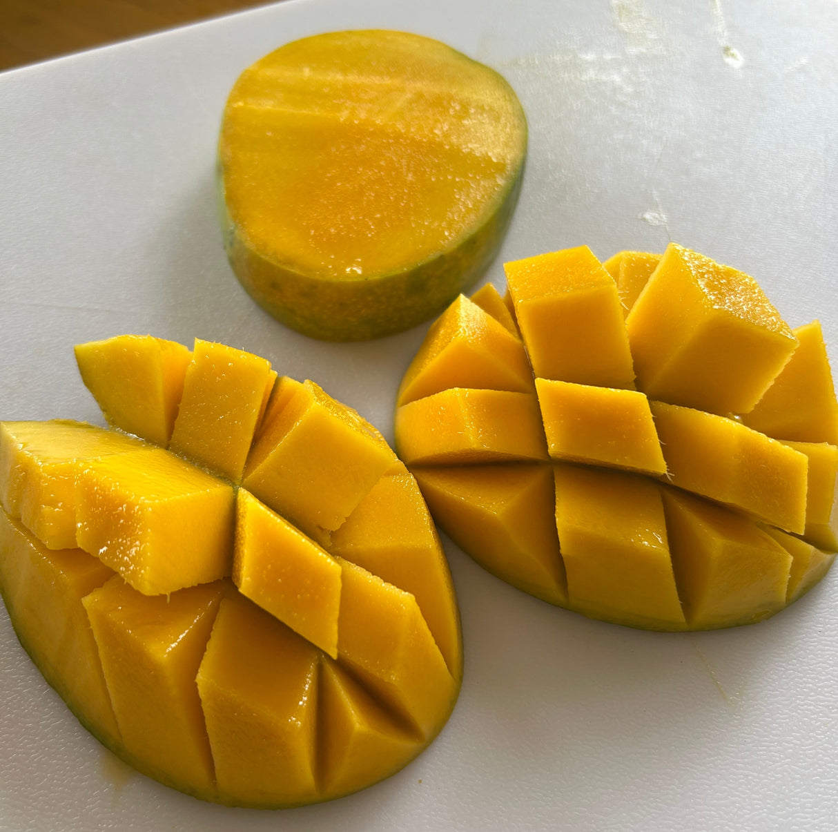 Mango Tree ‘Florigon’