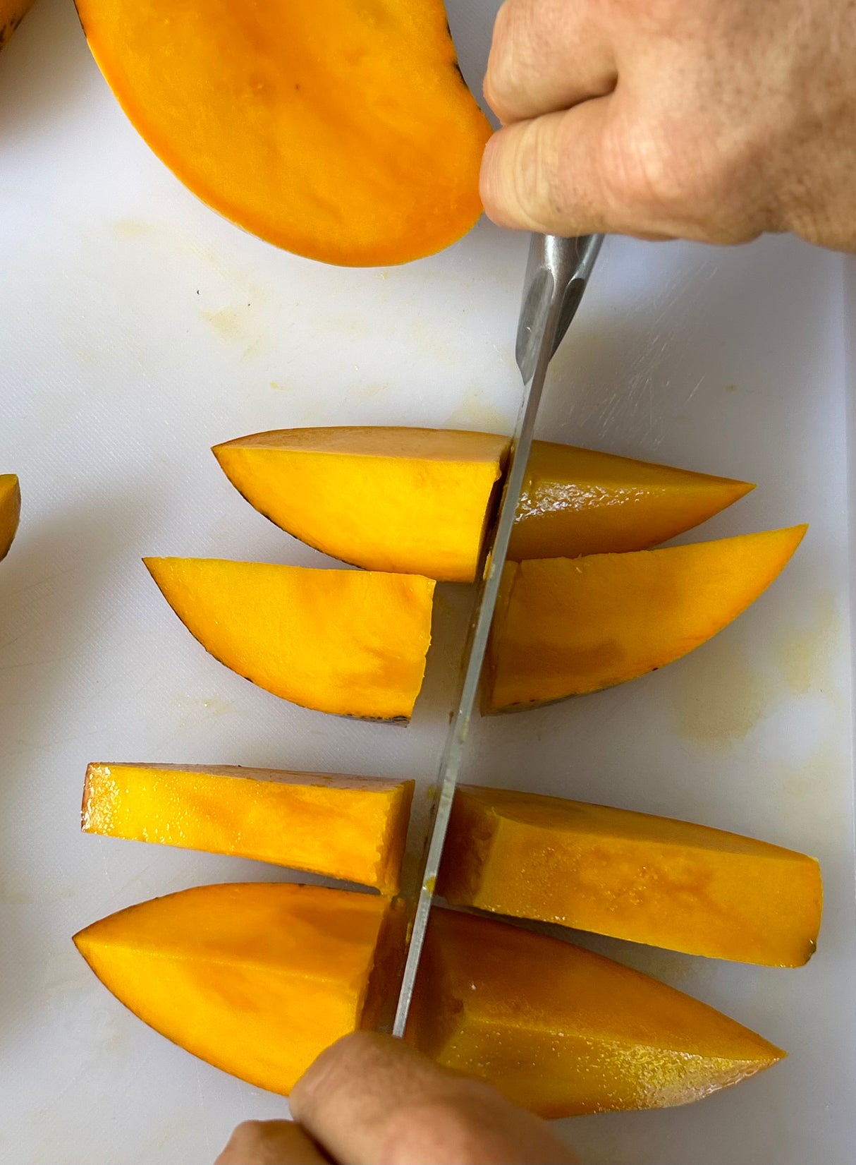 Mango Tree ‘Fruit Punch’