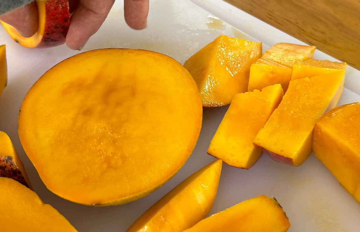 Mango Tree ‘Fruit Punch’