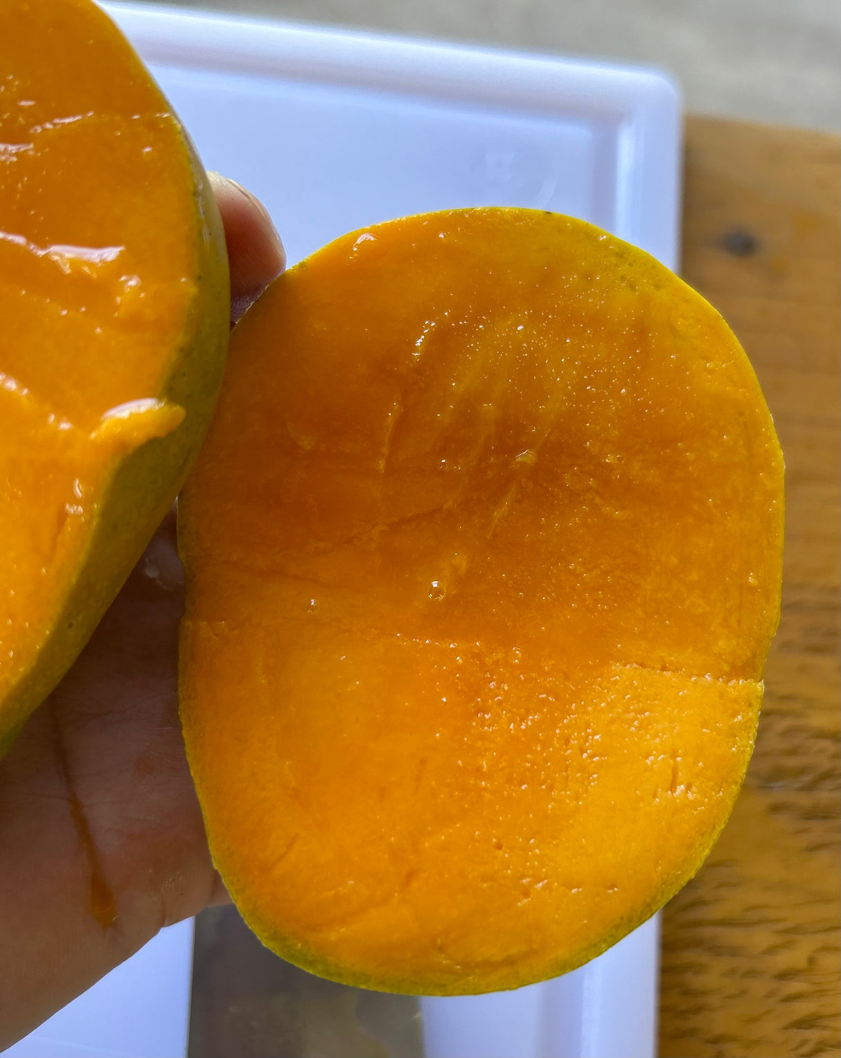 Mango Tree ‘Juliette’