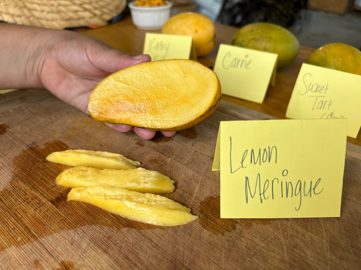Mango Tasting - June 25 @11am
