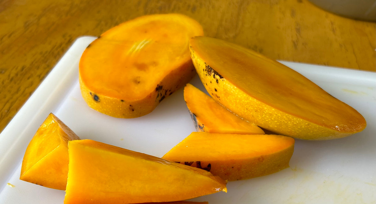 Mango Tree ‘Rosigold’