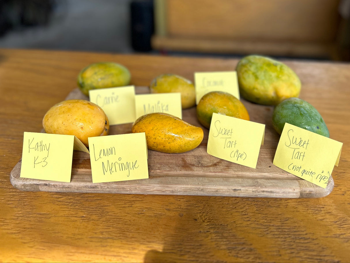 Mango Tasting - June 25 @11am