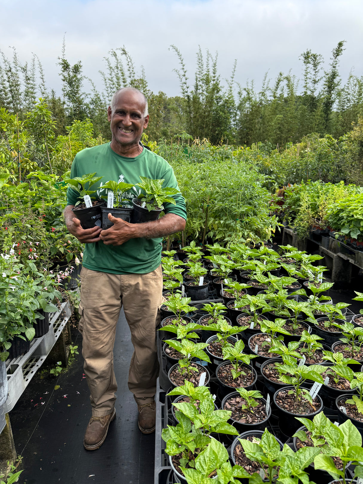 Scotch Bonnet Pepper