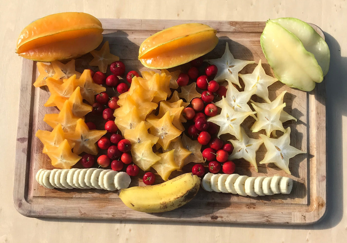 Carambola (Starfruit) Tree 'Kari'