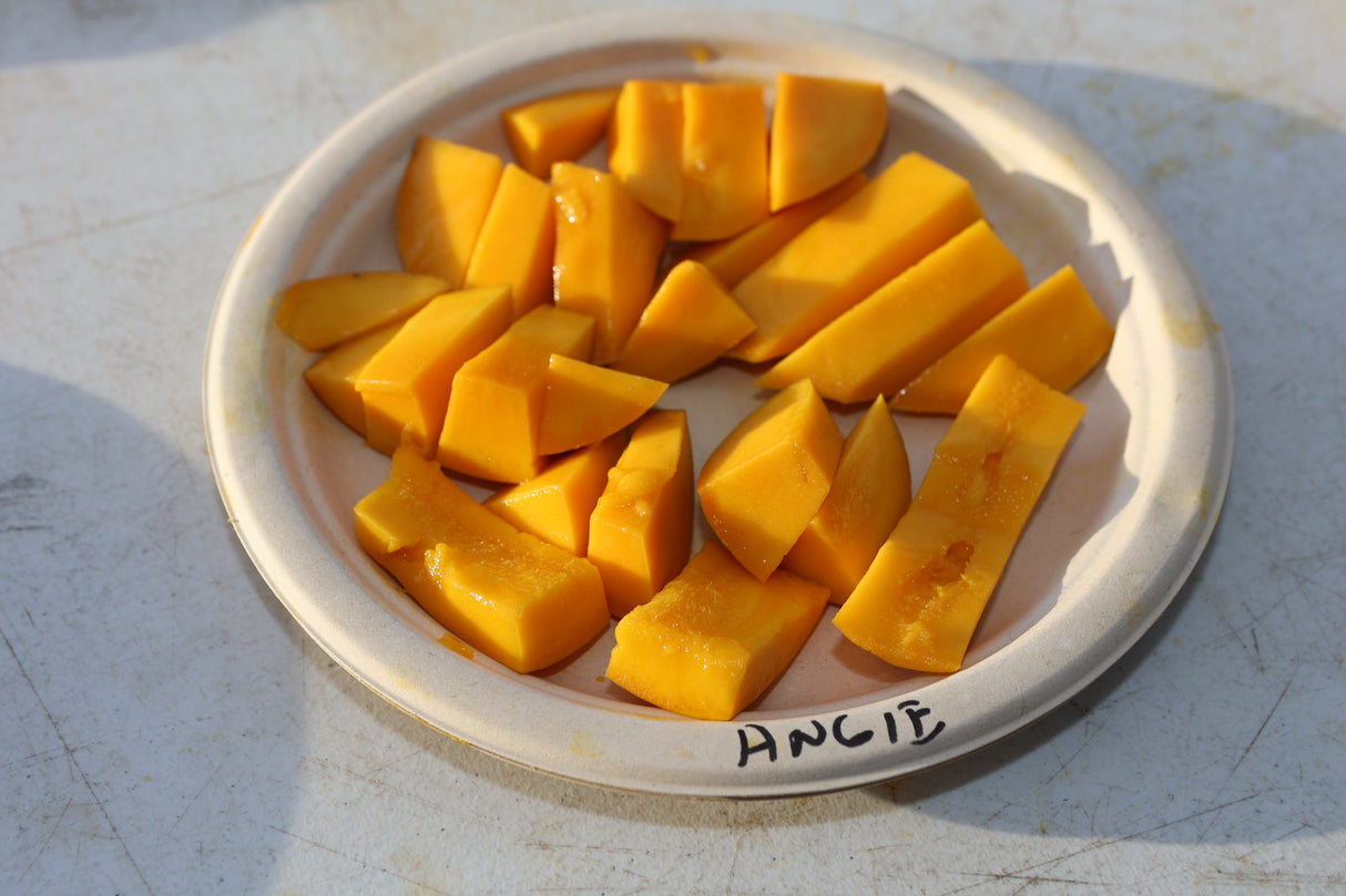 Mango Tree 'Angie'