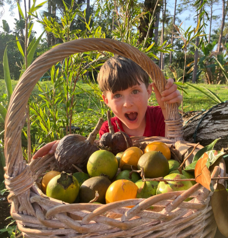 Winter: The Season of Dessert Fruits