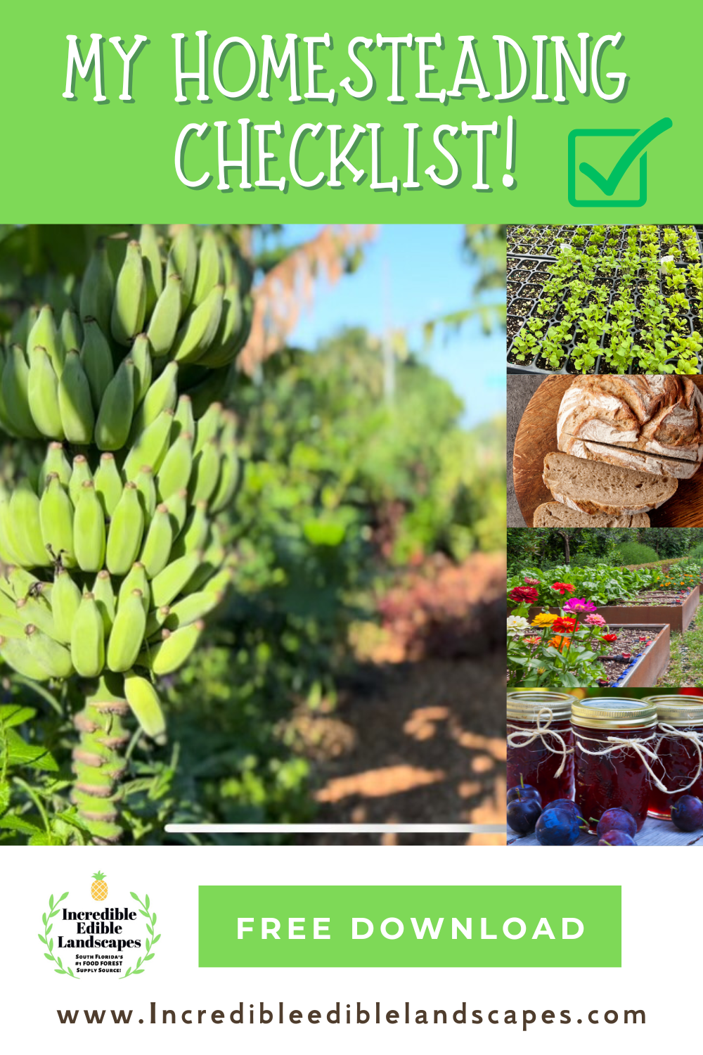 How to Start Homesteading Effectively: Free Printable!