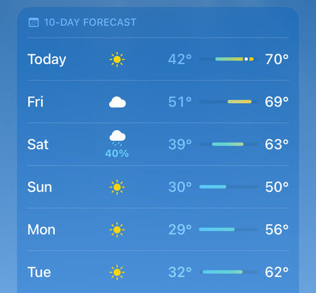 How to Protect Your Plants from Cold Weather