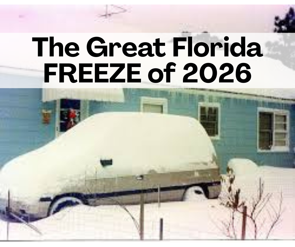 The Great Florida FREEZE of 2026