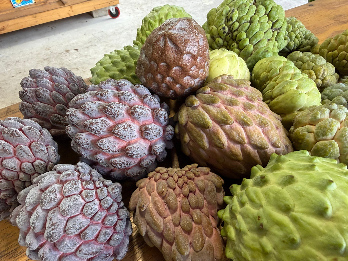What Do You Know About Annonas?               A guide to custard apples, sugar apples, atemoyas, soursop & more