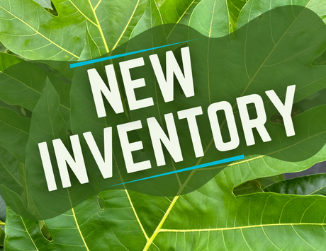 New Inventory