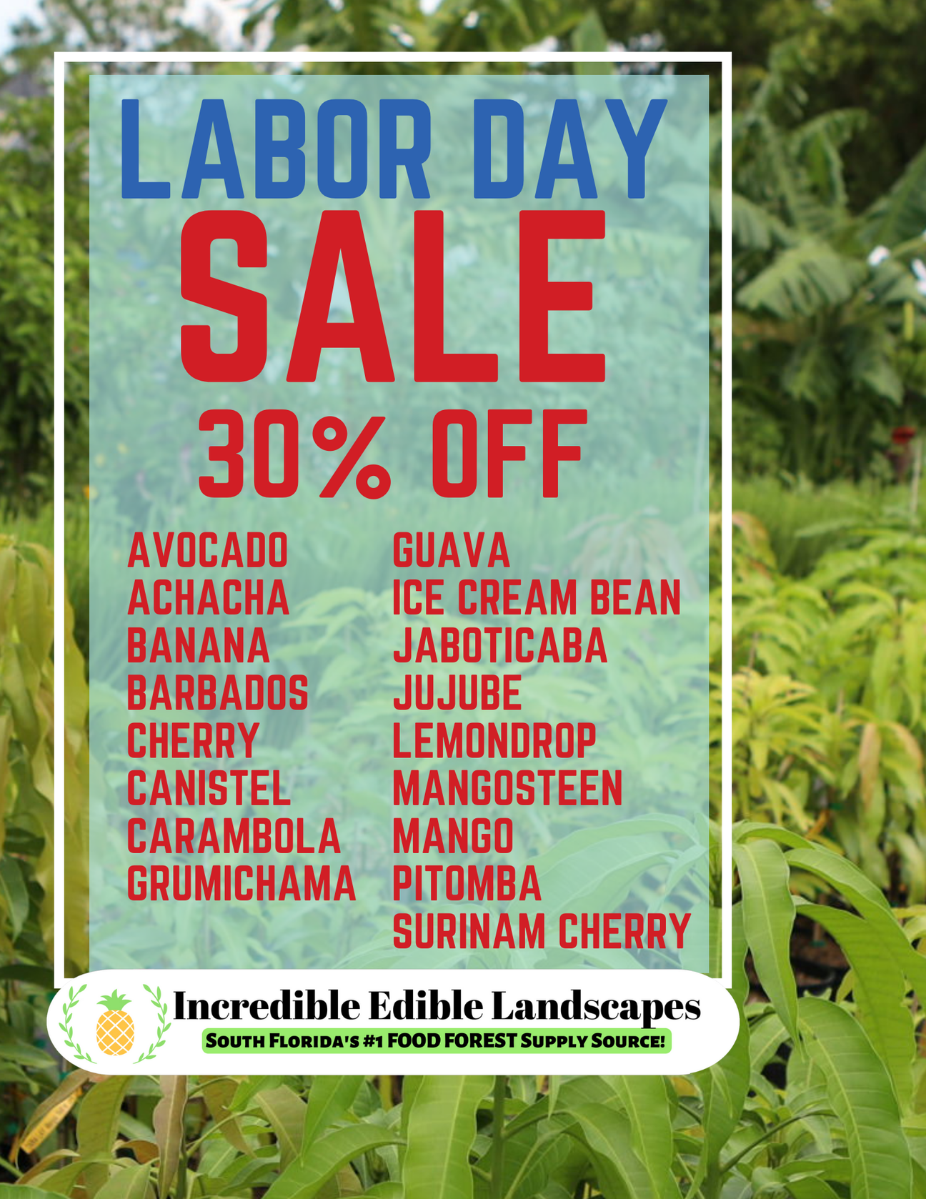 Labor Day Sale - 30% Off