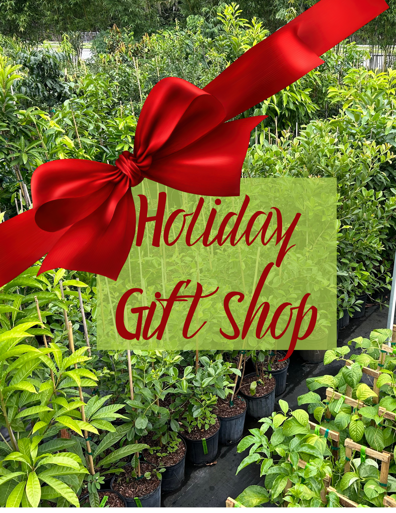 Holiday Gift Shop