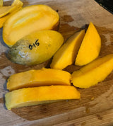 Mango Tree ‘O-15’