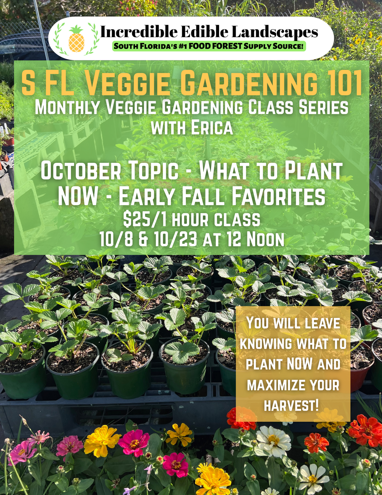 S. FL Veggie Gardening 101 Class - October