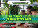 Intro To Grafting workshop – September 6th @ 9:30am
