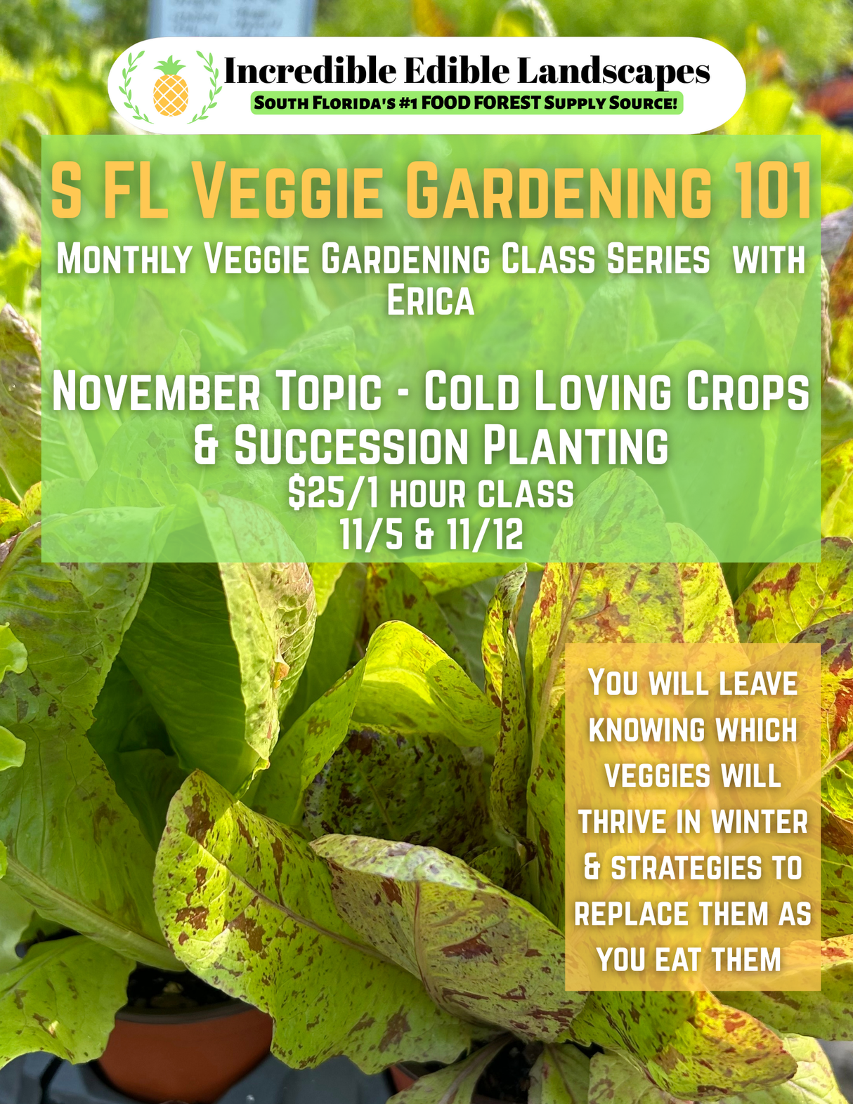 S. FL Veggie Gardening 101 Class - November