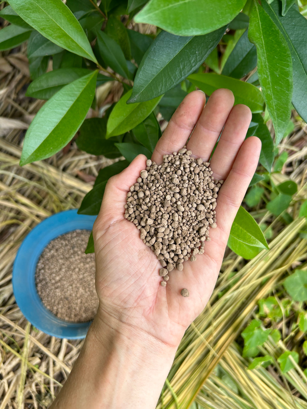Organic Micronutrients - AZOMITE