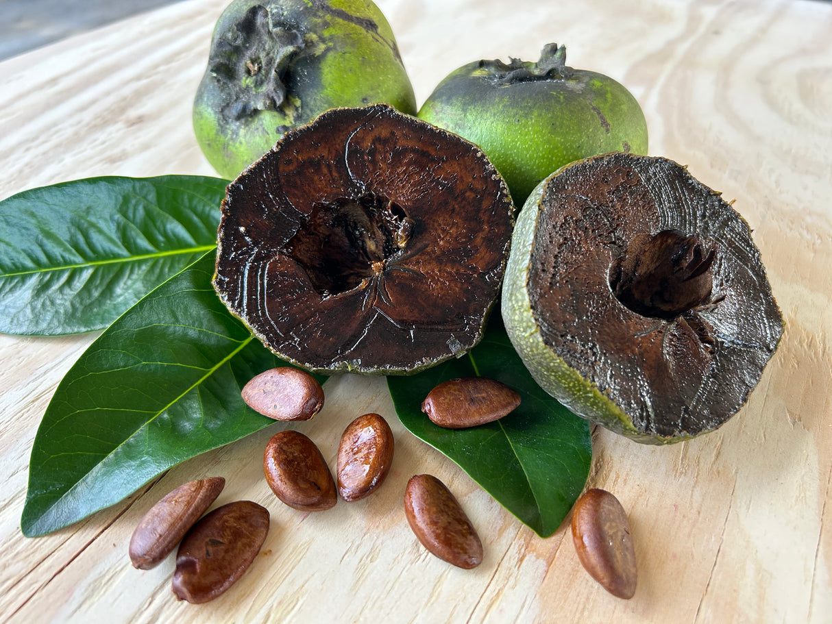 Black Sapote Tree 'Excalibur'