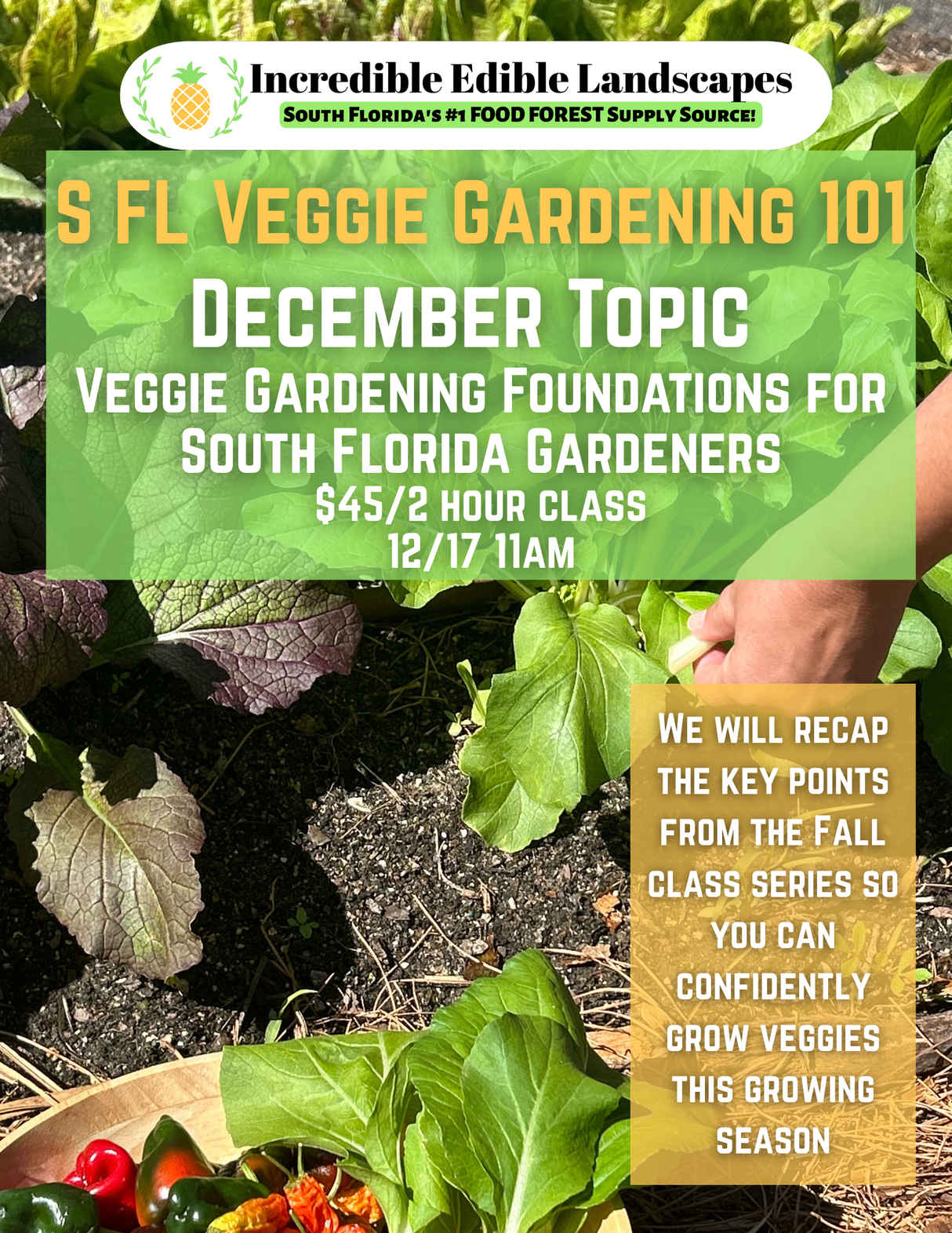 S. FL Veggie Gardening 101 Class -  December 17 @ 11am