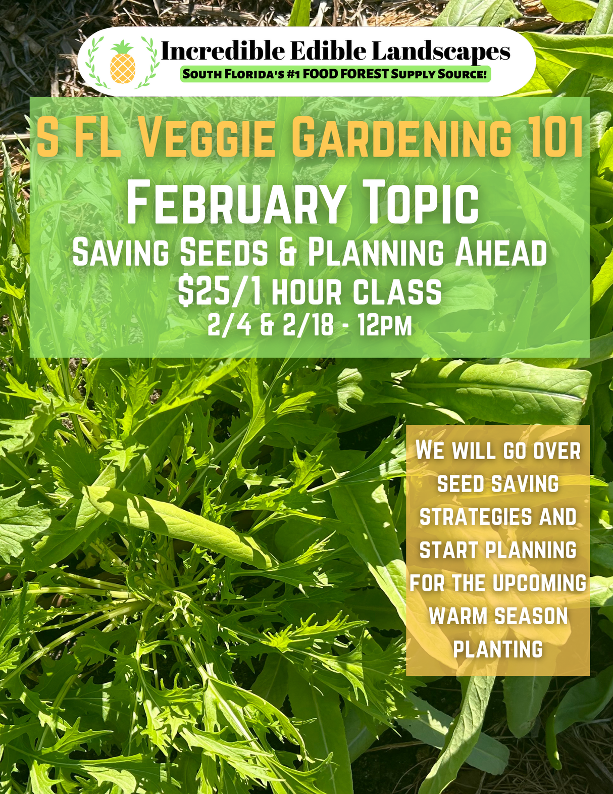 S. FL Veggie Gardening 101 Class - February