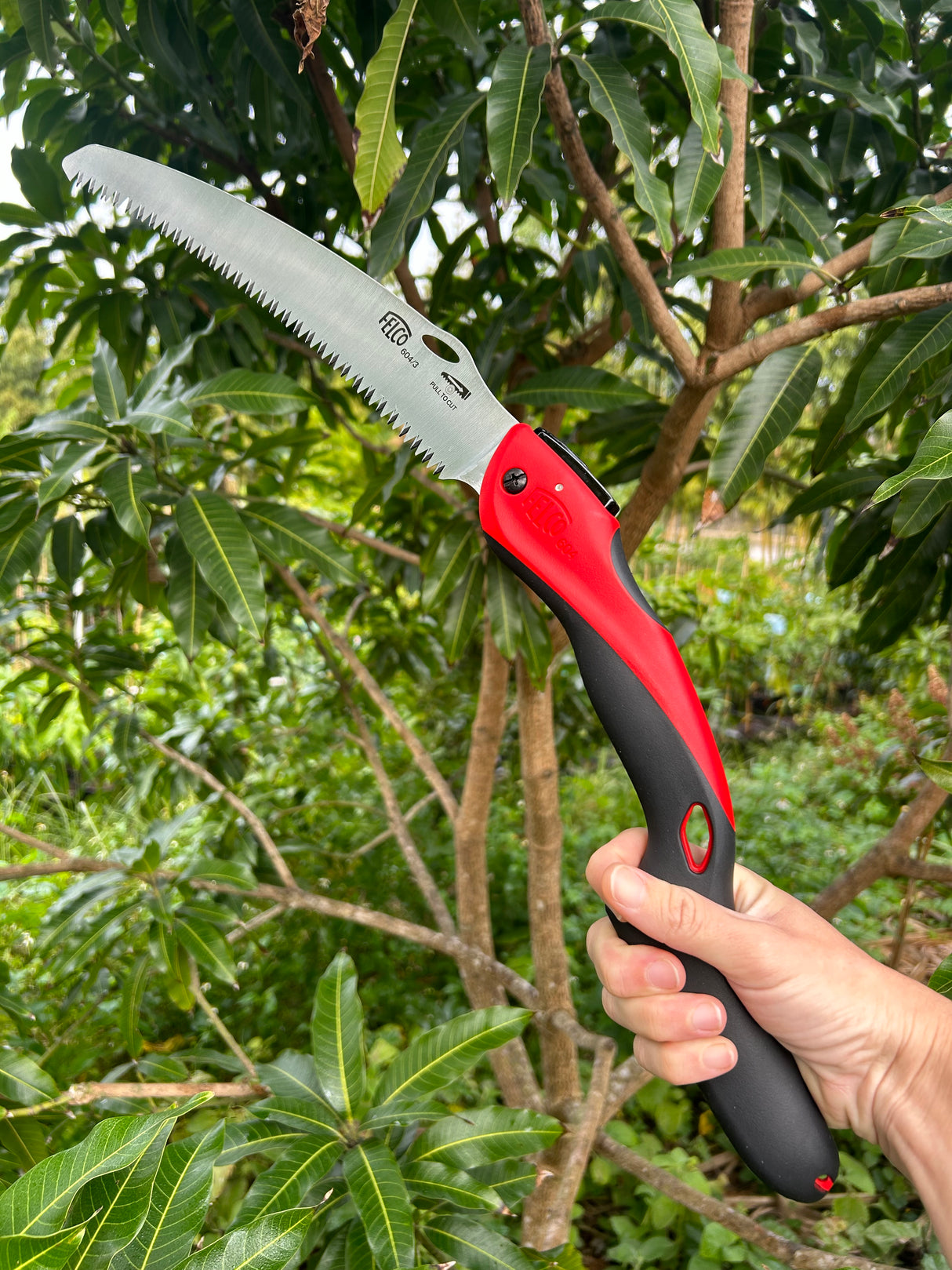 Felco 604 Curved Blade Hand Saw