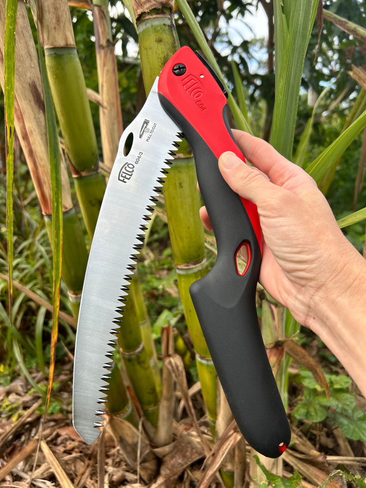 Felco 604 Curved Blade Hand Saw