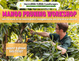 Mango Tree Pruning Workshop - August 5th @ 10am
