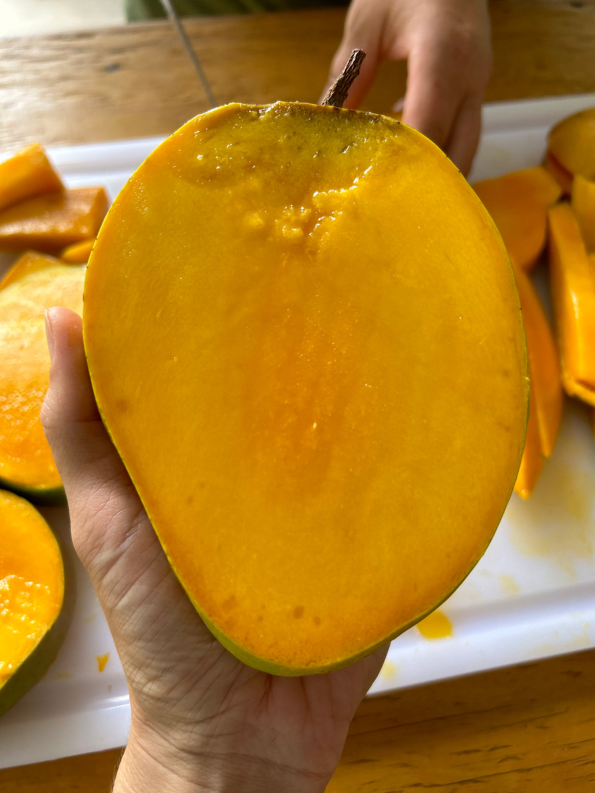 Mango Tree ‘P-22’