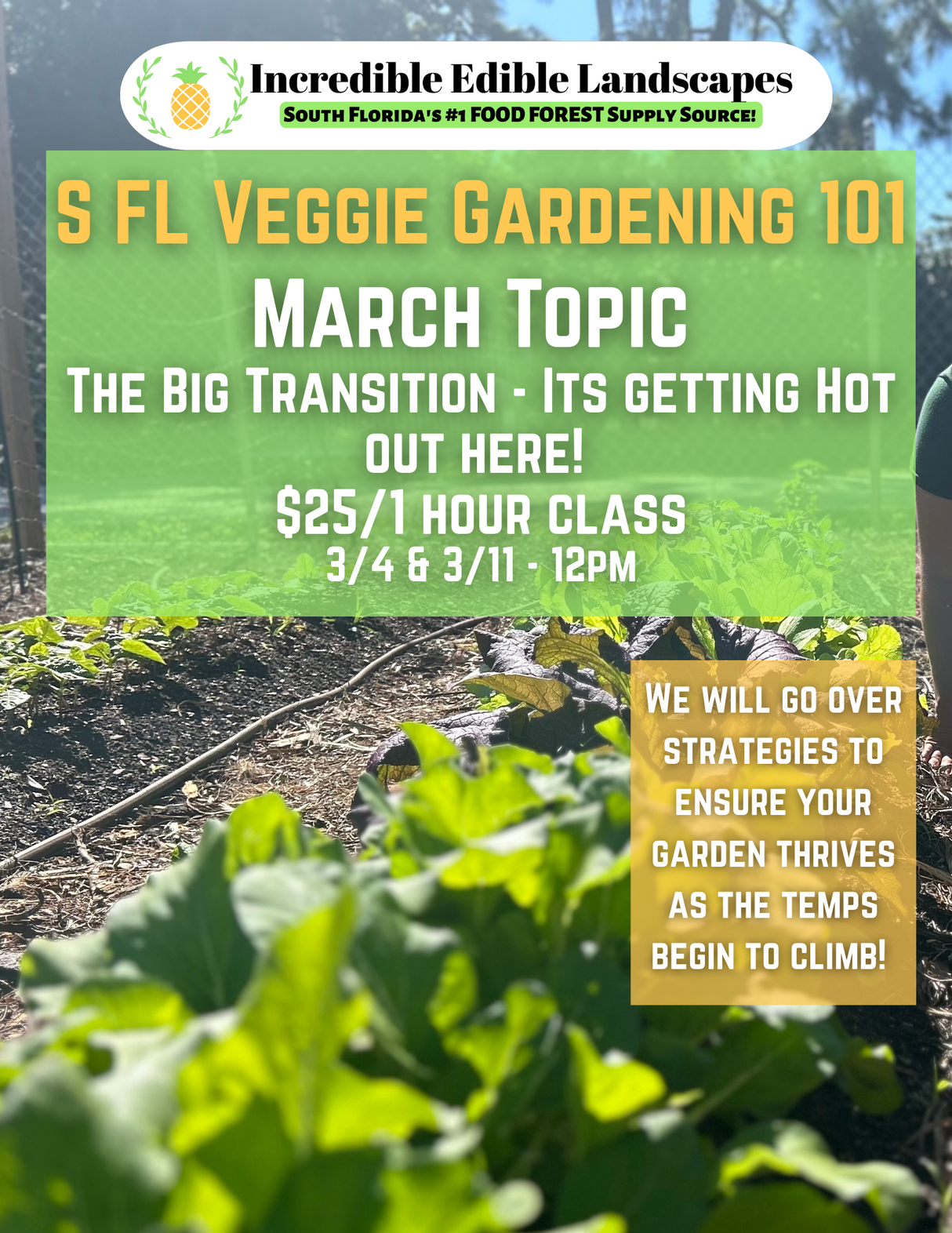 S. FL Veggie Gardening 101 Class - March