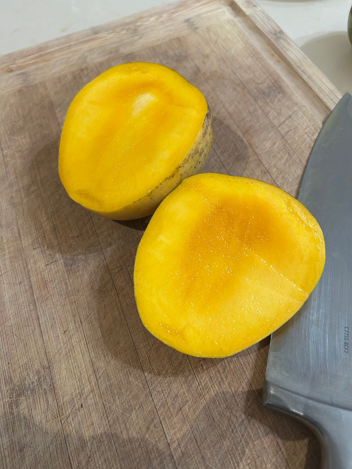 Mango Tree ‘O-15’
