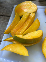 Mango Tree ‘Orange Essence’