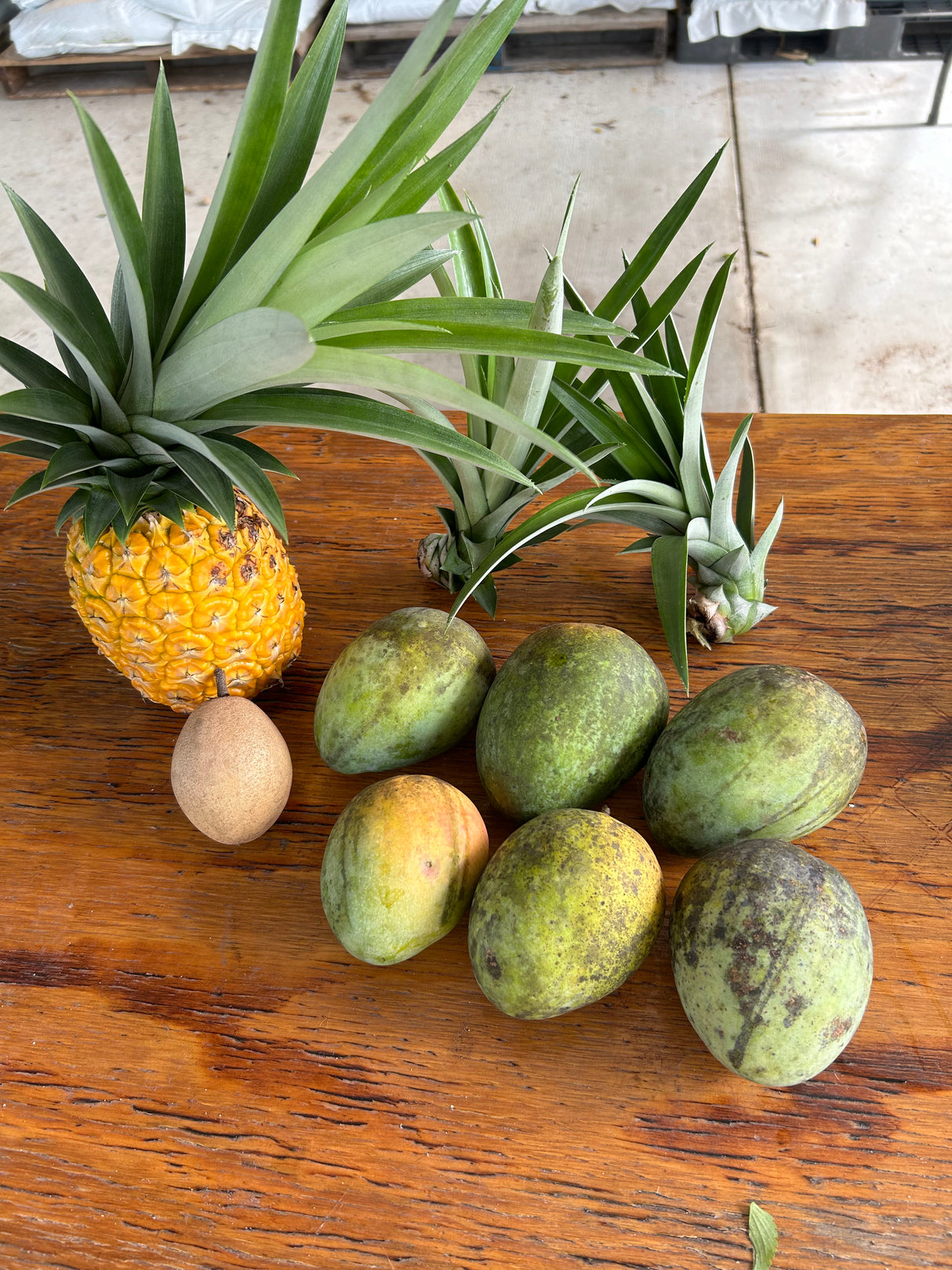 Pineapple ‘Elite Gold’