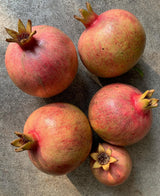 Pomegranate Tree 'Salavatski'